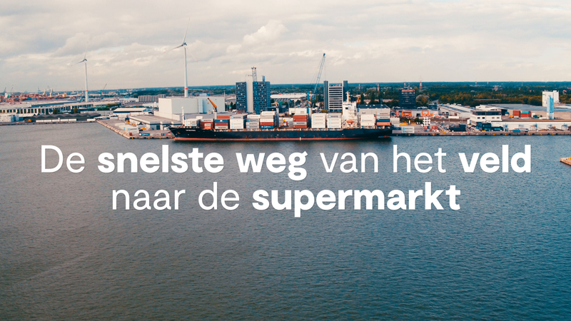 Port of Antwerp-Bruges biedt voor elk product dat een temperatuur gecontroleerde behandeling vraagt, een onafgebroken cold chain. Van vers fruit en voedingswaren tot pharma, life science en healthcare producten.